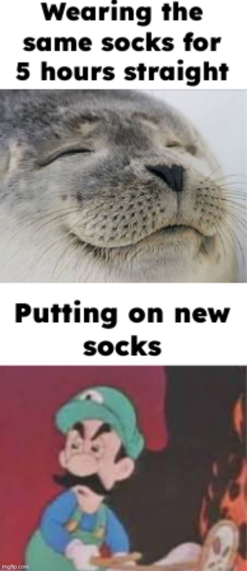 they feel terrible at first but feel nice after a long time | image tagged in satisfied seal,socks,pizza time stops | made w/ Imgflip meme maker