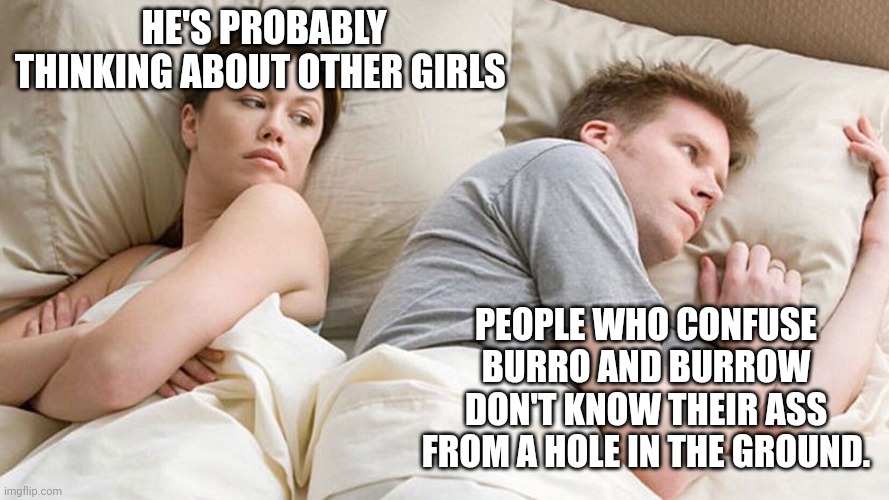 He's probably thinking about girls | HE'S PROBABLY THINKING ABOUT OTHER GIRLS; PEOPLE WHO CONFUSE BURRO AND BURROW DON'T KNOW THEIR ASS FROM A HOLE IN THE GROUND. | image tagged in he's probably thinking about girls | made w/ Imgflip meme maker