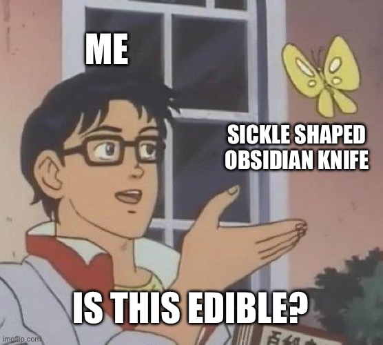 Is This A Pigeon | ME; SICKLE SHAPED OBSIDIAN KNIFE; IS THIS EDIBLE? | image tagged in memes,is this a pigeon | made w/ Imgflip meme maker