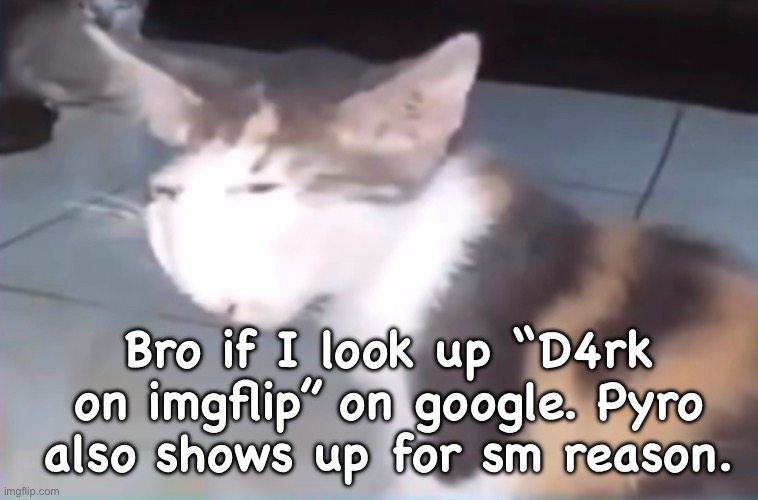 Bro if I look up “D4rk on imgflip” on google. Pyro also shows up for sm reason. | made w/ Imgflip meme maker