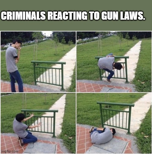Liberals support Criminals | CRIMINALS REACTING TO GUN LAWS. | image tagged in boy small fence fail,criminals,democrats,guns | made w/ Imgflip meme maker