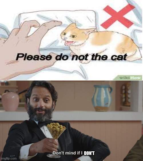 Alright I will make sure not to the cat | DON'T | image tagged in don't mind if i do | made w/ Imgflip meme maker