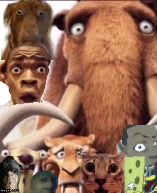 oh | image tagged in oh | made w/ Imgflip meme maker