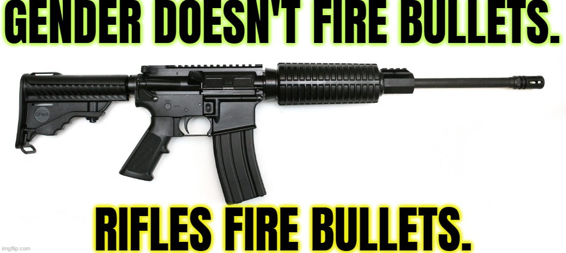 Guns kill more American children than motor vehicles. | GENDER DOESN'T FIRE BULLETS. RIFLES FIRE BULLETS. | image tagged in ar 15,school shootings,kill,children | made w/ Imgflip meme maker