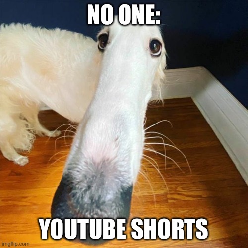 Let me do it for you... | NO ONE:; YOUTUBE SHORTS | image tagged in let me do it for you | made w/ Imgflip meme maker