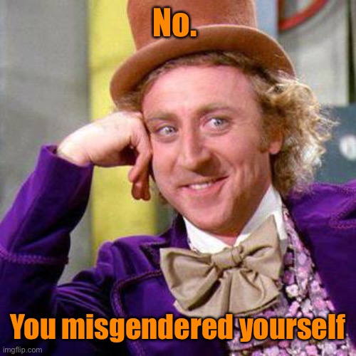 Willy Wonka Blank | No. You misgendered yourself | image tagged in willy wonka blank | made w/ Imgflip meme maker