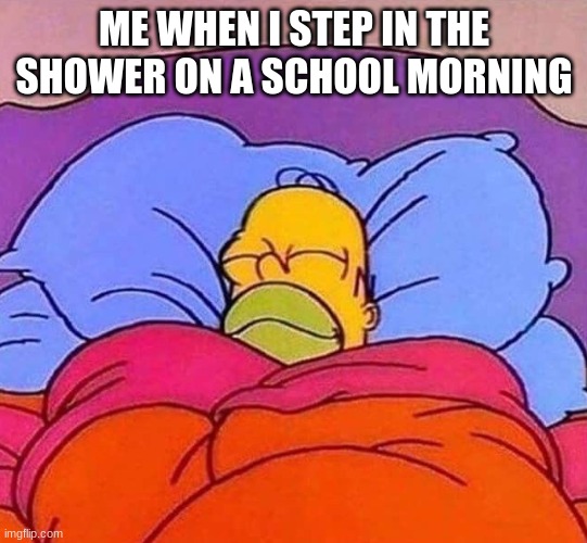 Who here has slept in the shower | ME WHEN I STEP IN THE SHOWER ON A SCHOOL MORNING | image tagged in homer simpson sleeping peacefully | made w/ Imgflip meme maker