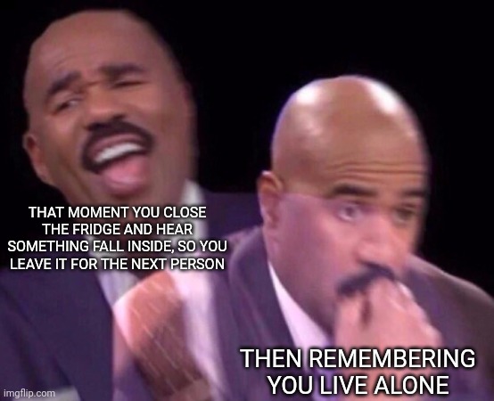 This hasn't happened to me yet cause I haven't moved out yet...but it might in the future | THAT MOMENT YOU CLOSE THE FRIDGE AND HEAR SOMETHING FALL INSIDE, SO YOU LEAVE IT FOR THE NEXT PERSON; THEN REMEMBERING YOU LIVE ALONE | image tagged in steve harvey laughing serious,fridge | made w/ Imgflip meme maker