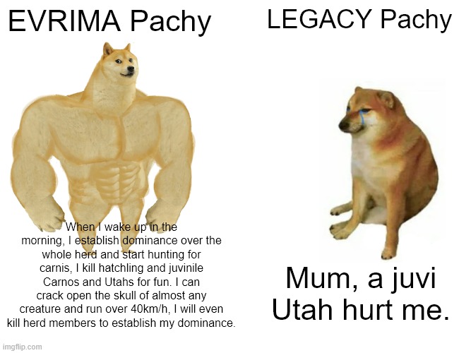 EVRIMA Pachy vs Legacy Pachy | EVRIMA Pachy; LEGACY Pachy; When I wake up in the morning, I establish dominance over the whole herd and start hunting for carnis, I kill hatchling and juvinile Carnos and Utahs for fun. I can crack open the skull of almost any creature and run over 40km/h, I will even kill herd members to establish my dominance. Mum, a juvi Utah hurt me. | image tagged in memes,buff doge vs cheems,the isle,dinosaurs,gaming,pachycephalosaurs | made w/ Imgflip meme maker