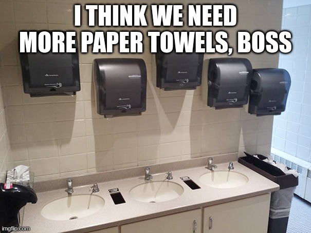 Yeah, we need more paper towels | I THINK WE NEED MORE PAPER TOWELS, BOSS | image tagged in you had one job,memes | made w/ Imgflip meme maker