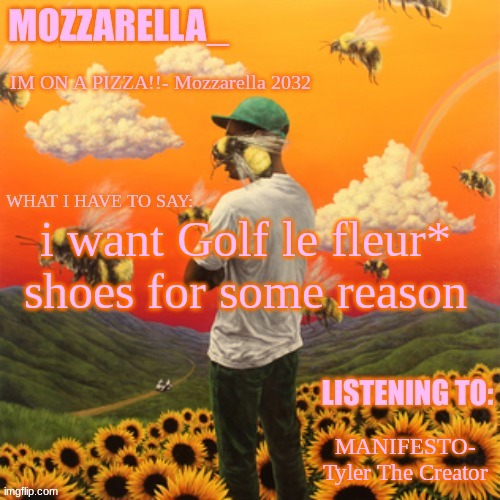 Flower Boy | i want Golf le fleur* shoes for some reason; MANIFESTO- Tyler The Creator | image tagged in flower boy | made w/ Imgflip meme maker