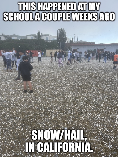 Apparently it’s called graupel or something idk | THIS HAPPENED AT MY SCHOOL A COUPLE WEEKS AGO; SNOW/HAIL, IN CALIFORNIA. | image tagged in hail in california | made w/ Imgflip meme maker