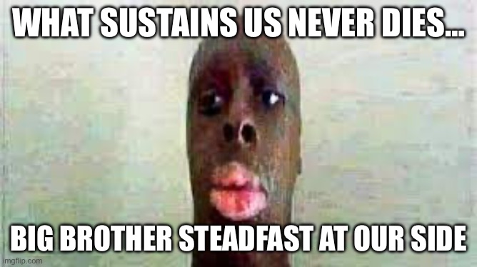WHAT SUSTAINS US NEVER DIES… BIG BROTHER STEADFAST AT OUR SIDE | made w/ Imgflip meme maker