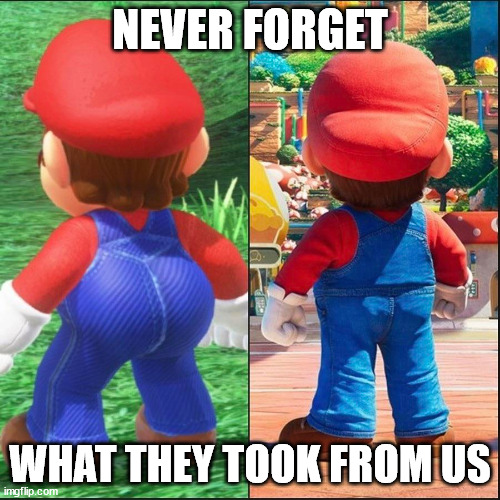Never forget | NEVER FORGET; WHAT THEY TOOK FROM US | image tagged in mario | made w/ Imgflip meme maker