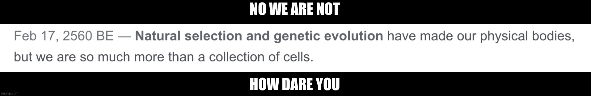 NO WE ARE NOT; HOW DARE YOU | made w/ Imgflip meme maker