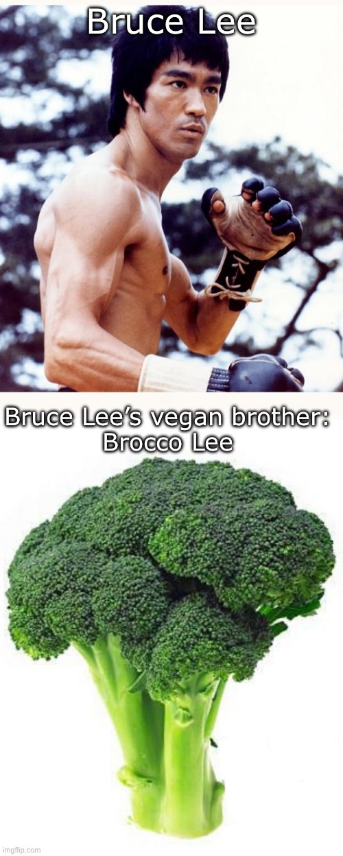 Bruce Lee | Bruce Lee; Bruce Lee’s vegan brother:
Brocco Lee | image tagged in bruce lee,broccoli,vegan,brother | made w/ Imgflip meme maker