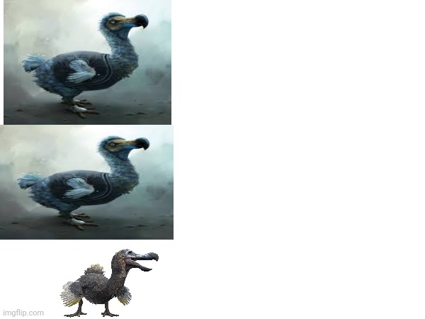 High Quality Dodo bird pun Blank Meme Template