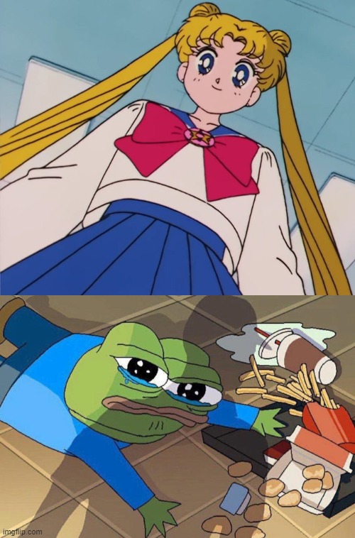 image tagged in usagi looking down at you,pepe getting bullied | made w/ Imgflip meme maker