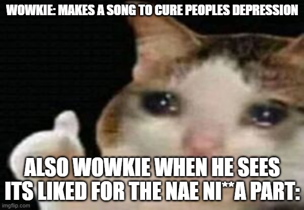 NAE NIBBA | WOWKIE: MAKES A SONG TO CURE PEOPLES DEPRESSION; ALSO WOWKIE WHEN HE SEES ITS LIKED FOR THE NAE NI**A PART: | image tagged in crying cat thumbs up,get nae nae'd | made w/ Imgflip meme maker