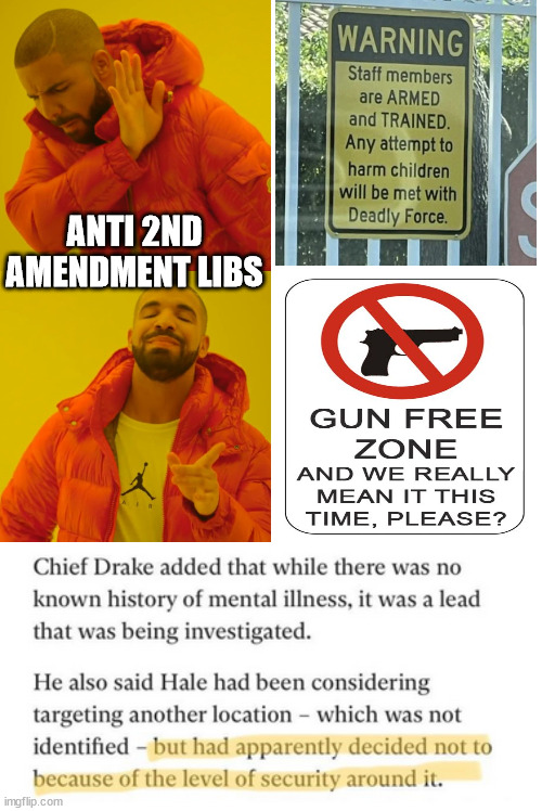 Because giving up your rights to the government will not protect you... | ANTI 2ND AMENDMENT LIBS | image tagged in memes,drake hotline bling,2nd amendment,stupid people | made w/ Imgflip meme maker
