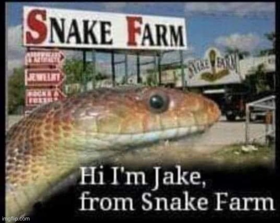 Jake | image tagged in bad pun | made w/ Imgflip meme maker