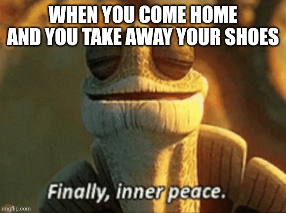 Upvote this meme | WHEN YOU COME HOME AND YOU TAKE AWAY YOUR SHOES | image tagged in finally inner peace | made w/ Imgflip meme maker