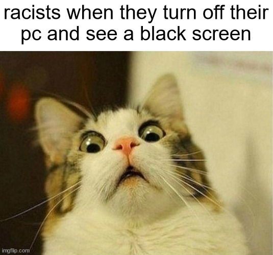 pov: racists | racists when they turn off their
pc and see a black screen | image tagged in memes,scared cat | made w/ Imgflip meme maker
