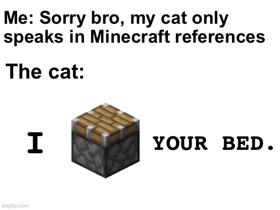 ...Get it? | Me: Sorry bro, my cat only speaks in Minecraft references; The cat:; I; YOUR BED. | image tagged in memes,unfunny | made w/ Imgflip meme maker