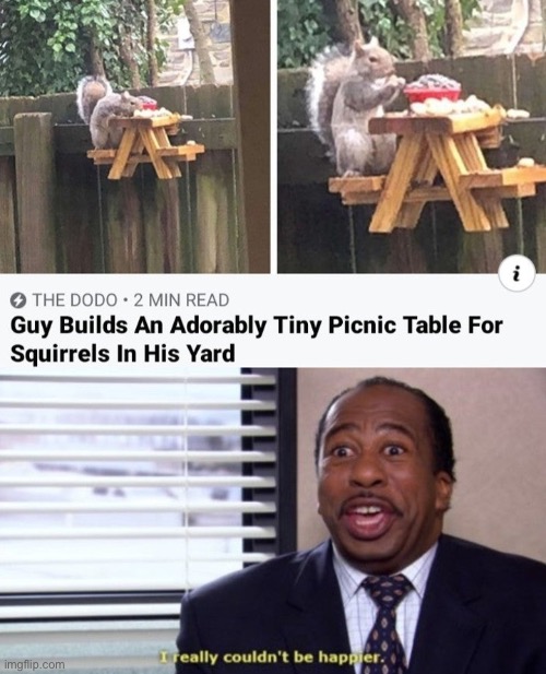 I'm buying that squirrel a birthday hat | image tagged in wholesome,memes,funny | made w/ Imgflip meme maker