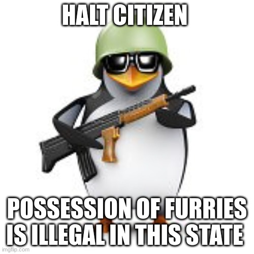 no anime penguin | HALT CITIZEN; POSSESSION OF FURRIES IS ILLEGAL IN THIS STATE | image tagged in no anime penguin | made w/ Imgflip meme maker