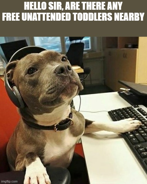 yummm | HELLO SIR, ARE THERE ANY FREE UNATTENDED TODDLERS NEARBY | image tagged in pit bull tech support | made w/ Imgflip meme maker