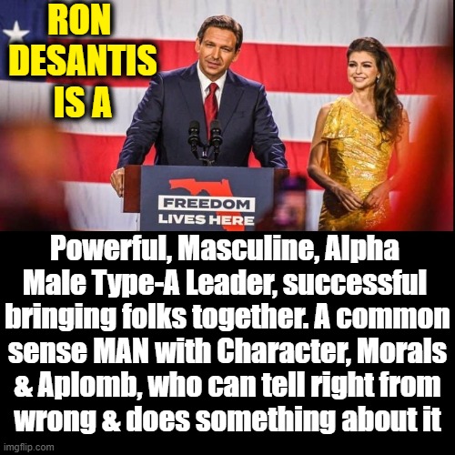 Though I love Donald Trump very much, I must admit that | RON 
DESANTIS
IS A; Powerful, Masculine, Alpha 
Male Type-A Leader, successful 
bringing folks together. A common
sense MAN with Character, Morals
& Aplomb, who can tell right from
wrong & does something about it | image tagged in vince vance,donald trump,president trump,ron desantis,president,memes | made w/ Imgflip meme maker
