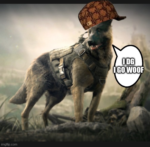 I DG I GO WOOF | image tagged in dog | made w/ Imgflip meme maker