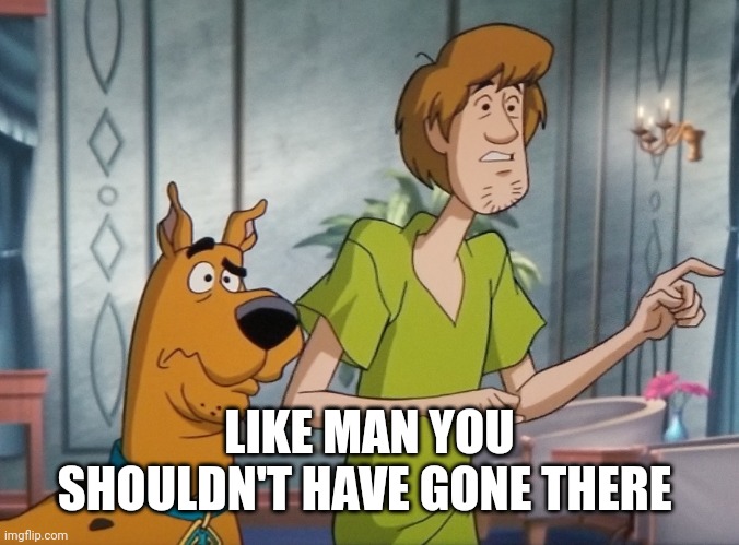 Shaggy and Scooby concerned | LIKE MAN YOU SHOULDN'T HAVE GONE THERE | image tagged in shaggy and scooby concerned | made w/ Imgflip meme maker