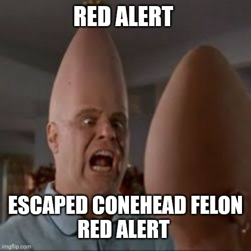 Coneheads | RED ALERT ESCAPED CONEHEAD FELON
RED ALERT | image tagged in coneheads | made w/ Imgflip meme maker