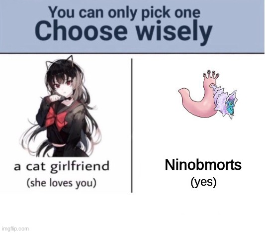 Choose wisely | Ninobmorts; (yes) | image tagged in choose wisely,msm,ninobmorts | made w/ Imgflip meme maker