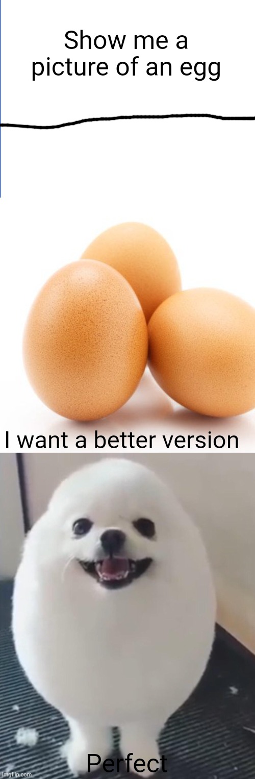 Eggdoggi | Show me a picture of an egg; I want a better version; Perfect | image tagged in eggdog,egg,memes | made w/ Imgflip meme maker