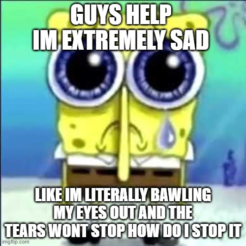 :( | GUYS HELP 
IM EXTREMELY SAD; LIKE IM LITERALLY BAWLING MY EYES OUT AND THE TEARS WONT STOP HOW DO I STOP IT | image tagged in sad spongebob | made w/ Imgflip meme maker