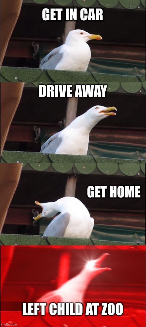 oh no | GET IN CAR; DRIVE AWAY; GET HOME; LEFT CHILD AT ZOO | image tagged in memes,inhaling seagull | made w/ Imgflip meme maker