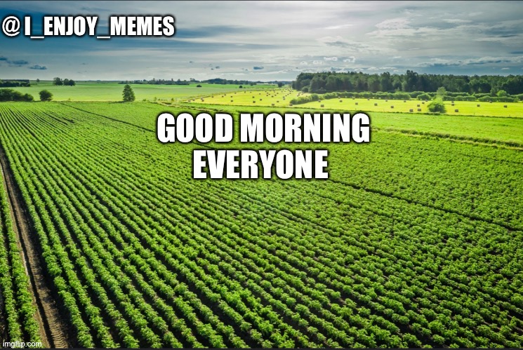 Good morning! | GOOD MORNING EVERYONE | image tagged in i_enjoy_memes_template | made w/ Imgflip meme maker