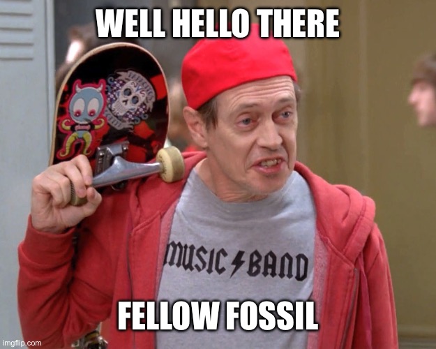 Steve Buscemi Fellow Kids | WELL HELLO THERE; FELLOW FOSSIL | image tagged in steve buscemi fellow kids | made w/ Imgflip meme maker