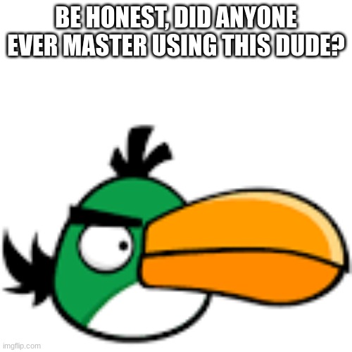 Just be honest | BE HONEST, DID ANYONE EVER MASTER USING THIS DUDE? | image tagged in angry birds | made w/ Imgflip meme maker