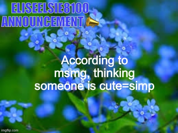 EliseElsie8100 Announcement | According to msmg, thinking someone is cute=simp | image tagged in eliseelsie8100 announcement | made w/ Imgflip meme maker