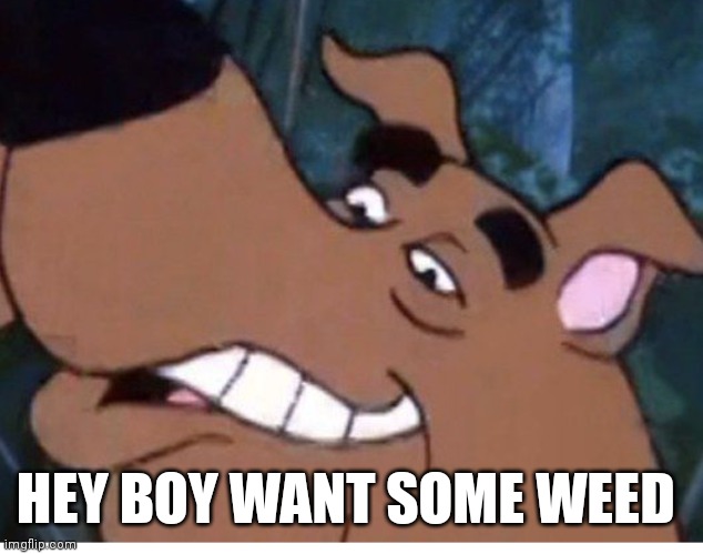Want some weed | HEY BOY WANT SOME WEED | image tagged in funny memes,scooby doo | made w/ Imgflip meme maker