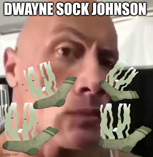 the sock | DWAYNE SOCK JOHNSON | image tagged in the rock eyebrows | made w/ Imgflip meme maker
