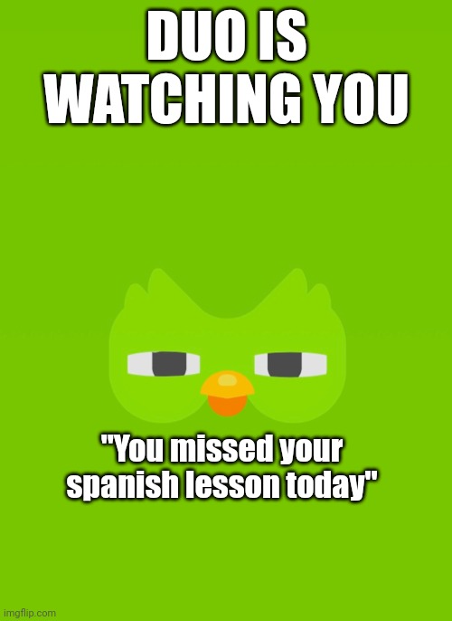 Duolingo is Big brother | DUO IS WATCHING YOU; "You missed your spanish lesson today" | image tagged in funny | made w/ Imgflip meme maker