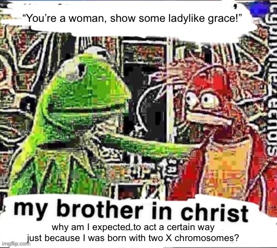 My brother in Christ | “You’re a woman, show some ladylike grace!”; why am I expected to act a certain way just because I was born with two X chromosomes? | image tagged in my brother in christ | made w/ Imgflip meme maker