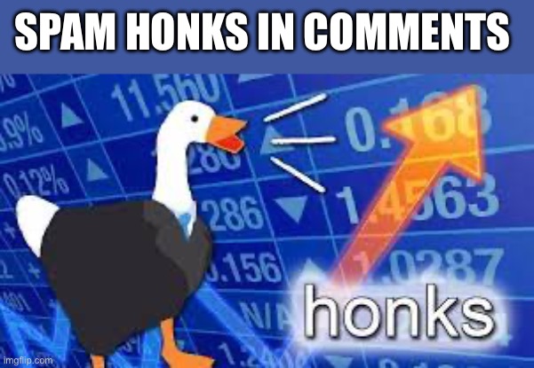 Honks | SPAM HONKS IN COMMENTS | image tagged in honks | made w/ Imgflip meme maker