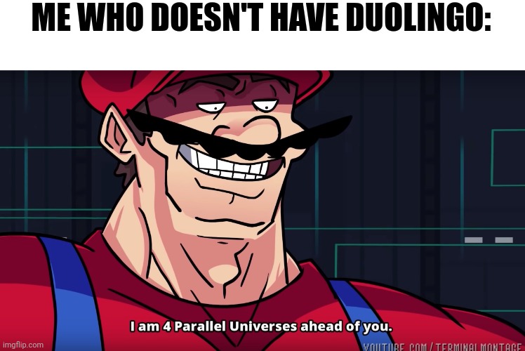 Mario I am four parallel universes ahead of you | ME WHO DOESN'T HAVE DUOLINGO: | image tagged in mario i am four parallel universes ahead of you | made w/ Imgflip meme maker