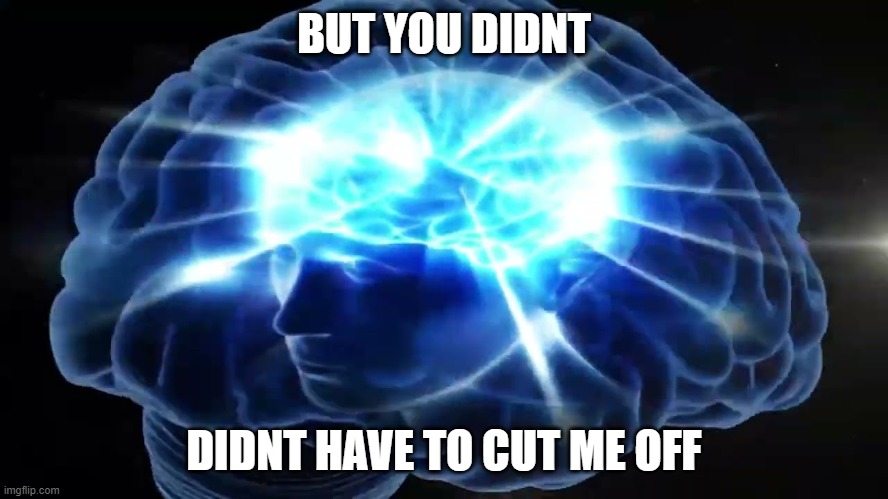 BUT YOU DIDNT DIDNT HAVE TO CUT ME OFF | image tagged in but you didn't have to cut me off | made w/ Imgflip meme maker